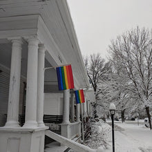 Load image into Gallery viewer, Rainbow Flag (Sewn Flag)