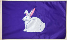 Load image into Gallery viewer, Bunny Rabbit
